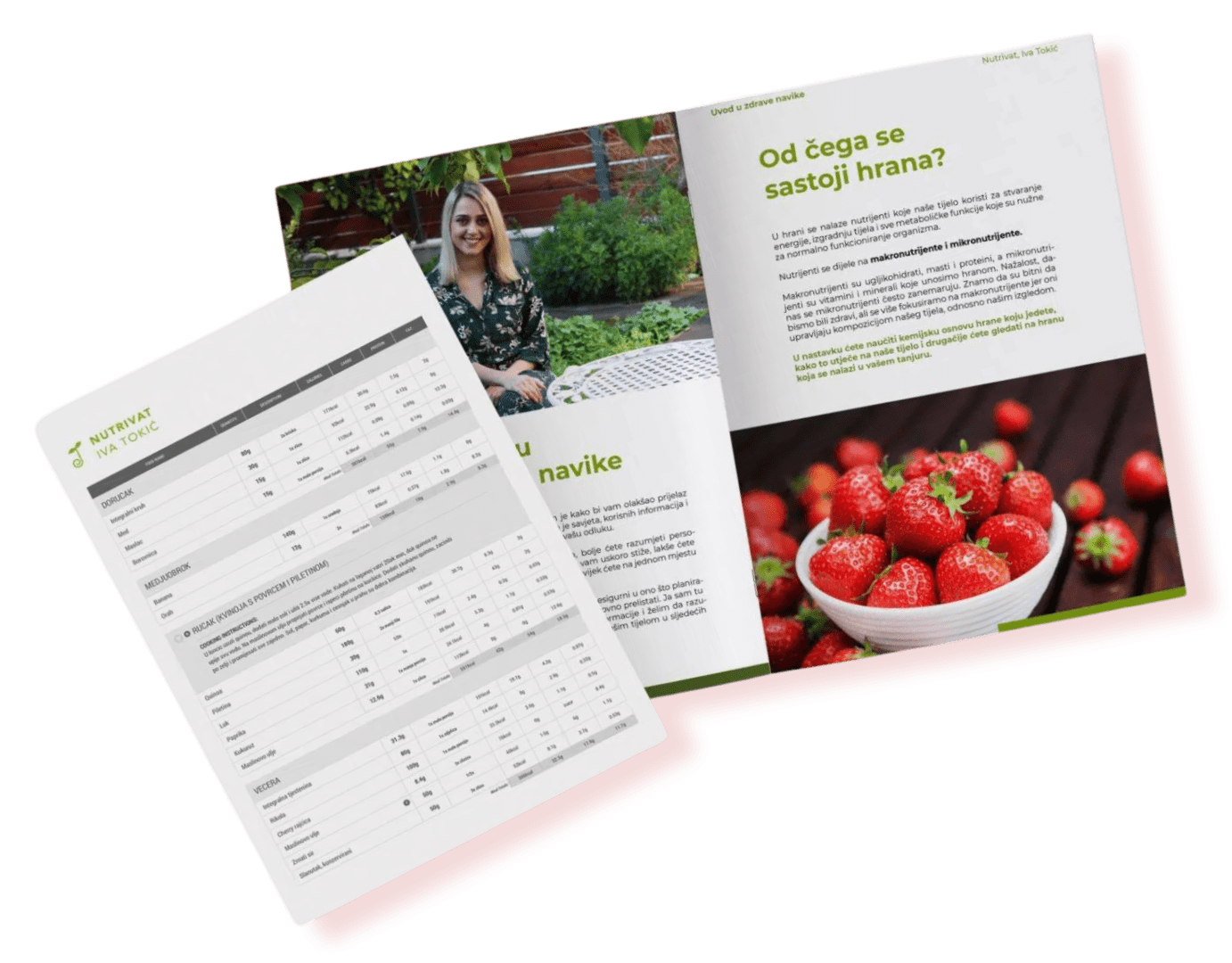 nutrivat, personalizirani plan prehrane, nutricionizam, iva tokić Online osnovni paket s planom prehrane - Slika 2